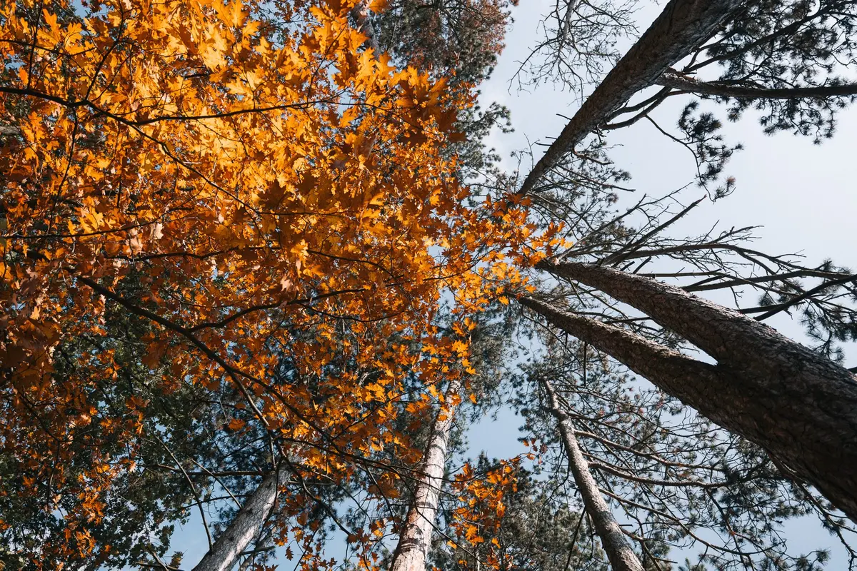 Glamping Posázaví – fotografie 3 z 18