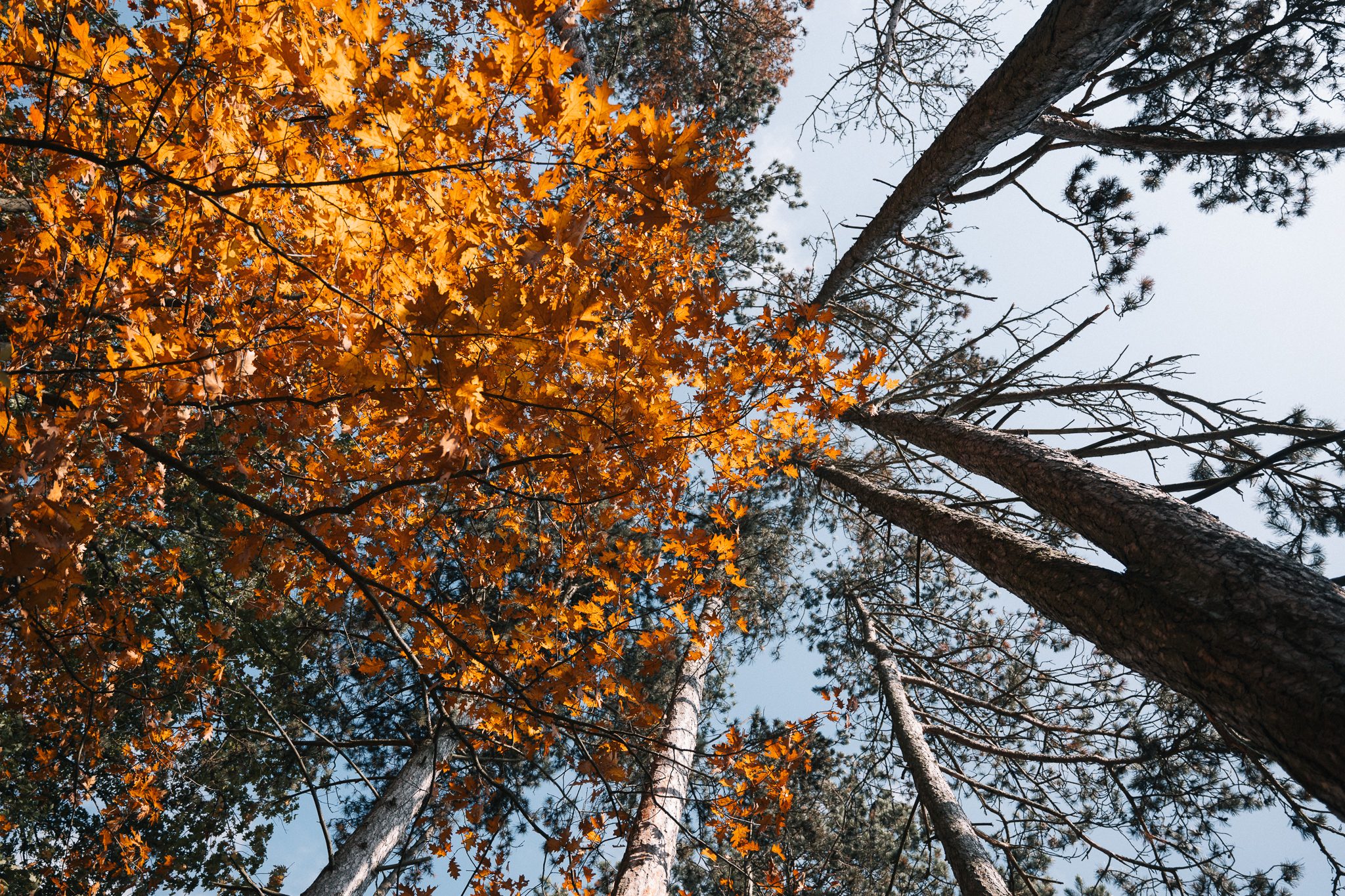 Glamping střední čechy - Glamping Posázaví